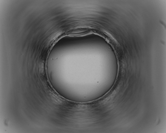 X0000091340777200708241222