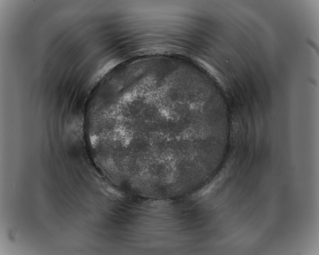 X0000091340778200708241222