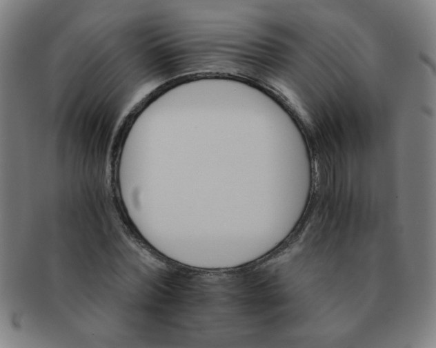 X0000091340780200708241222