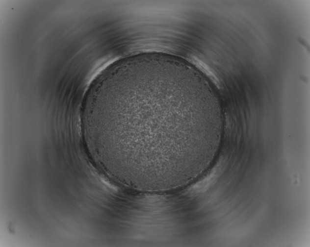 X0000091340782200708241222