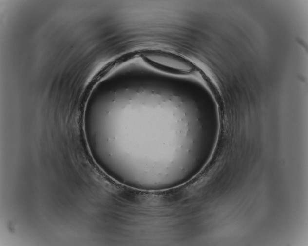 X0000091340783200708241222