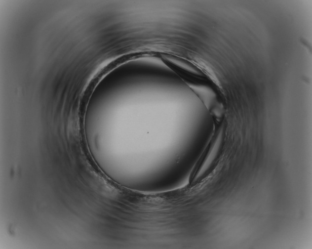 X0000091340784200708241222