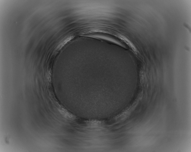 X0000091340785200708241222