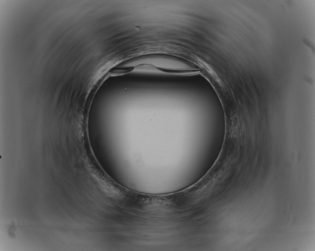 X0000091340786200708241222