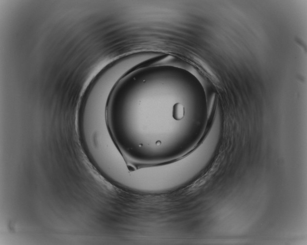 X0000091340788200708241222