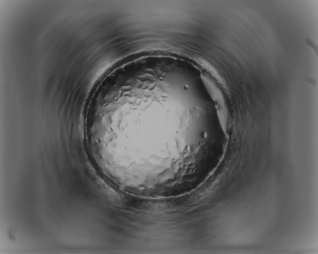 X0000091340791200708241222