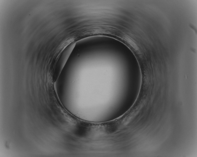 X0000091340793200708241222