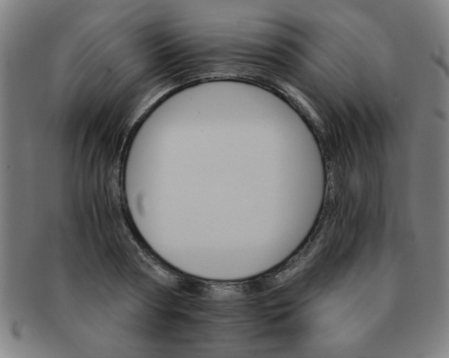 X0000091340794200708241222