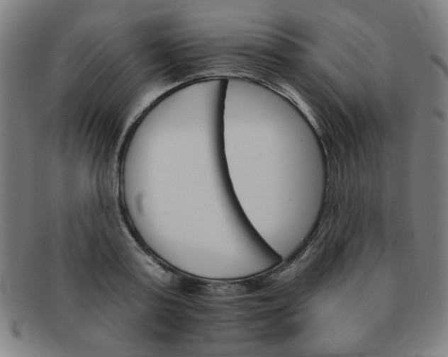 X0000091340795200708241222