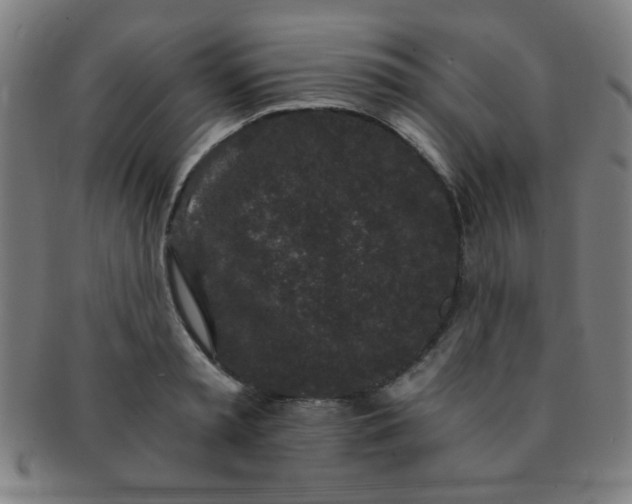 X0000091340797200708241222