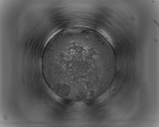 X0000091340798200708241222