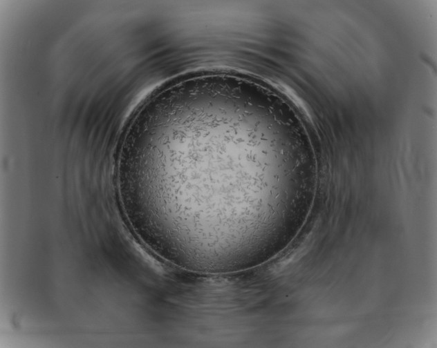 X0000091340799200708241222