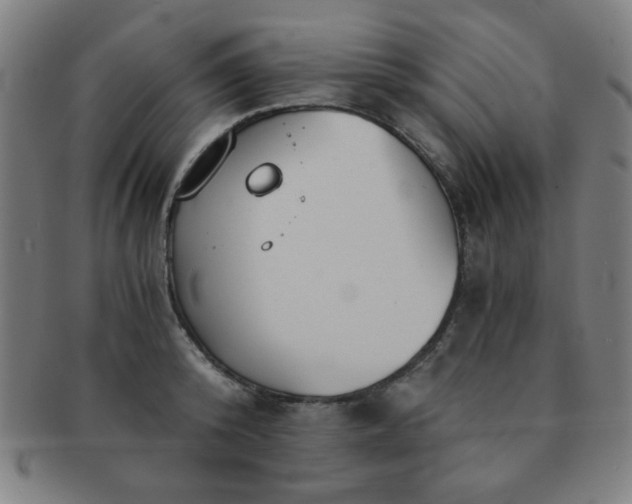 X0000091340800200708241222