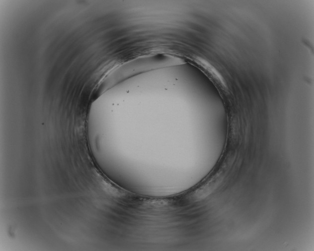 X0000091340801200708241222