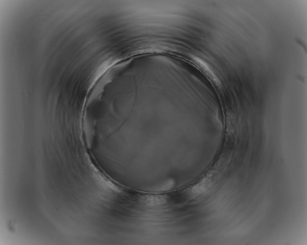 X0000091340802200708241222