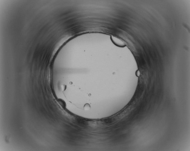 X0000091340804200708241222