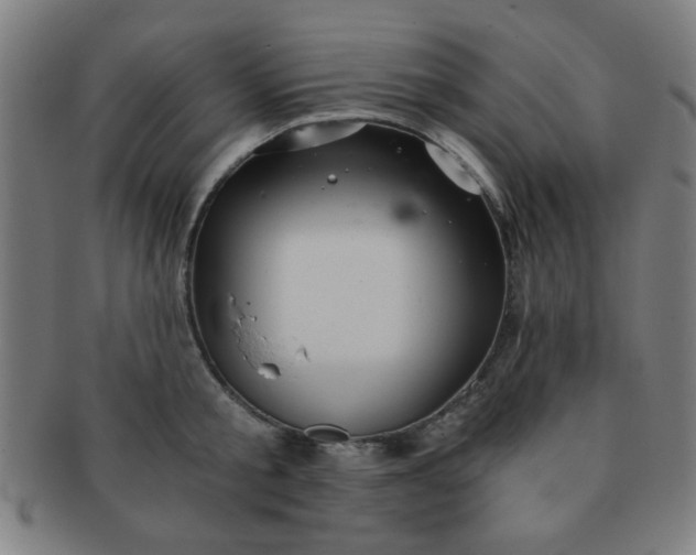 X0000091340805200708241222