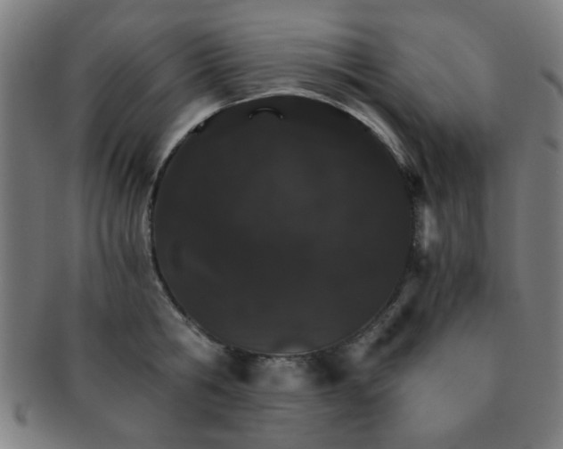 X0000091340806200708241222