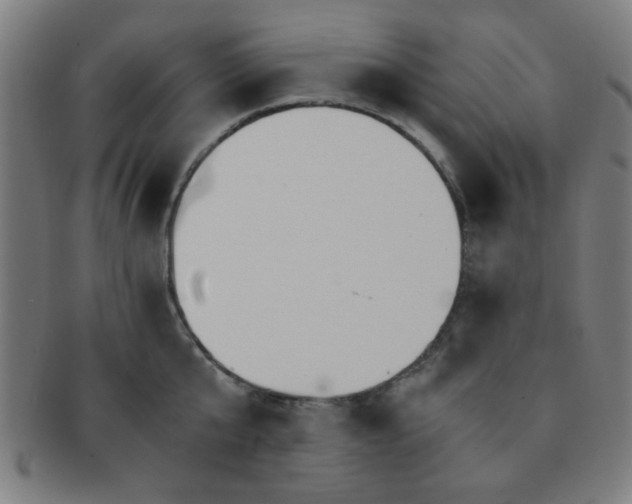 X0000091340807200708241222