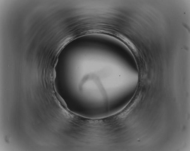 X0000091340809200708241222