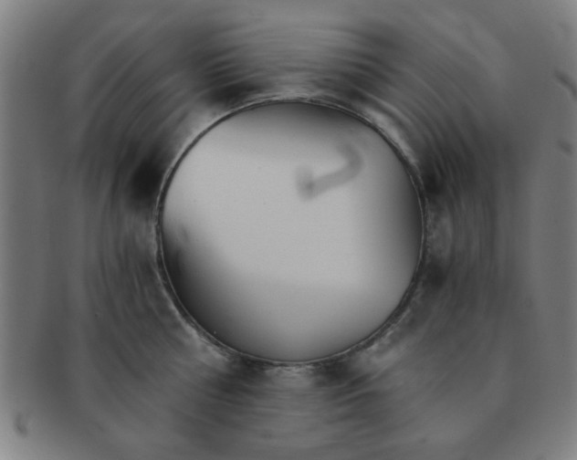 X0000091340810200708241222