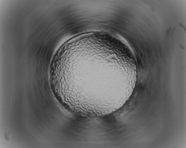 X0000091340811200708241221