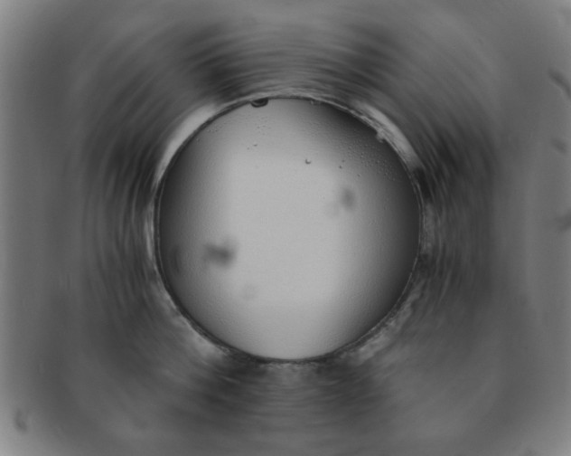 X0000091340812200708241221