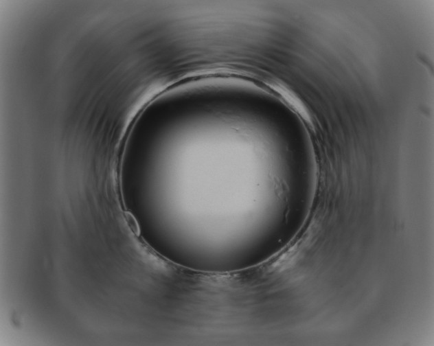 X0000091340813200708241221