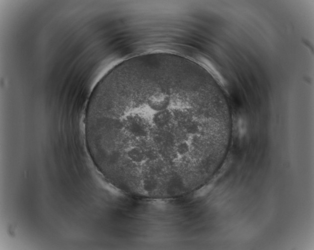 X0000091340814200708241221