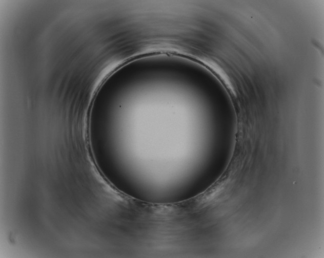 X0000091340815200708241221