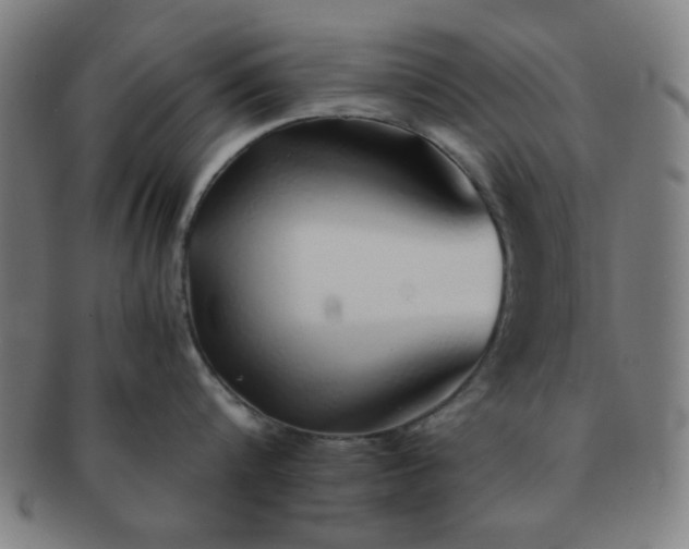 X0000091340816200708241221