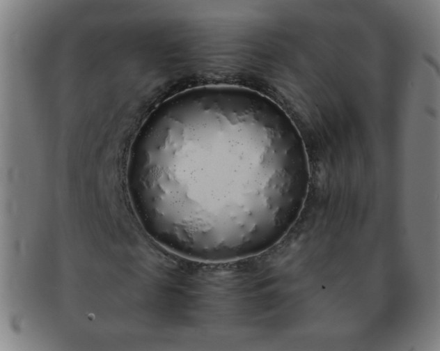 X0000091340817200708241221