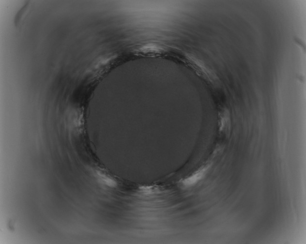 X0000091340818200708241221