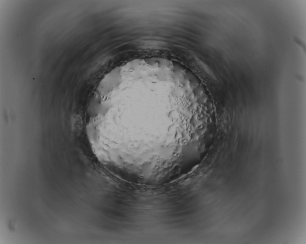 X0000091340821200708241221