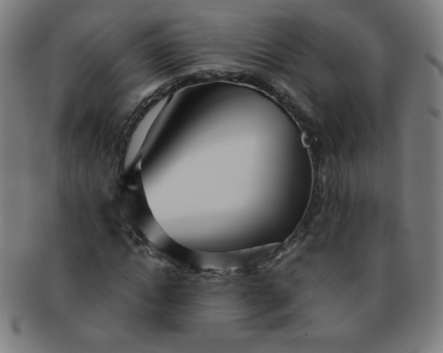 X0000091340822200708241221