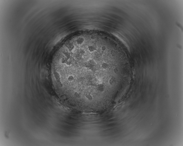 X0000091340823200708241221