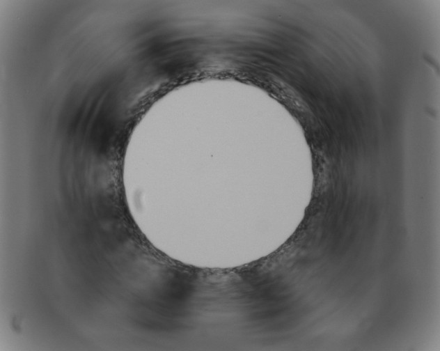 X0000091340824200708241221