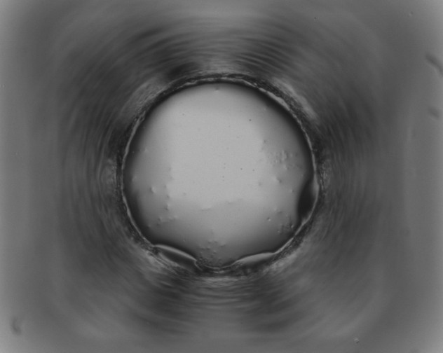 X0000091340825200708241221