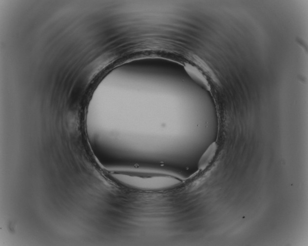 X0000091340826200708241221