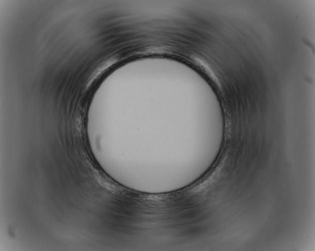 X0000091340827200708241221