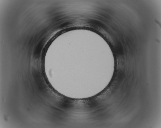 X0000091340828200708241221