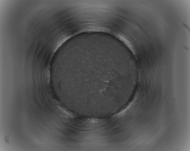 X0000091340829200708241221