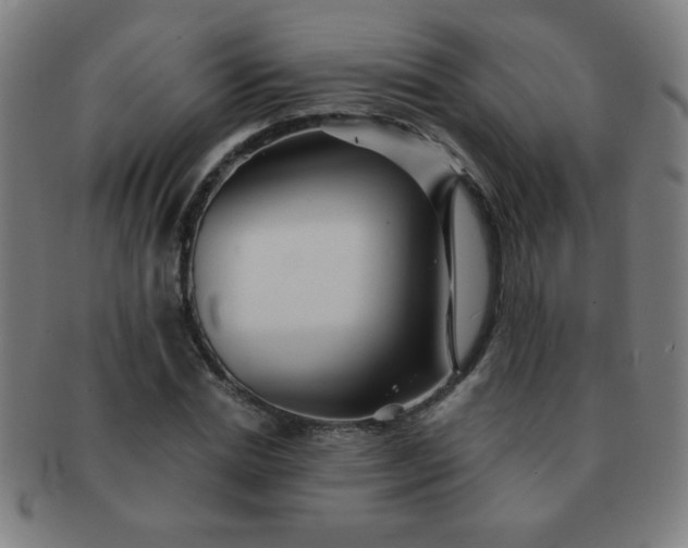 X0000091340830200708241221