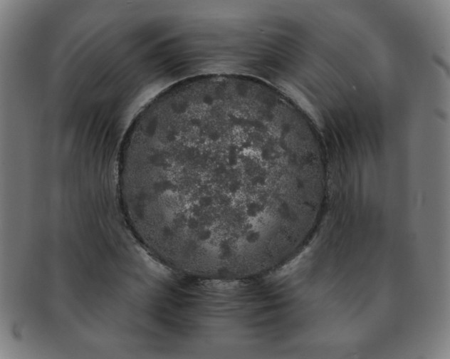 X0000091340831200708241221