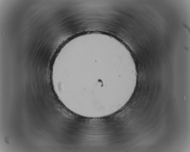 X0000091340832200708241221