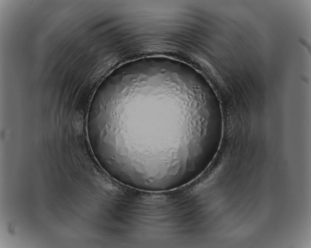 X0000091340833200708241221