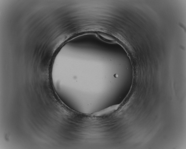 X0000091340834200708241221