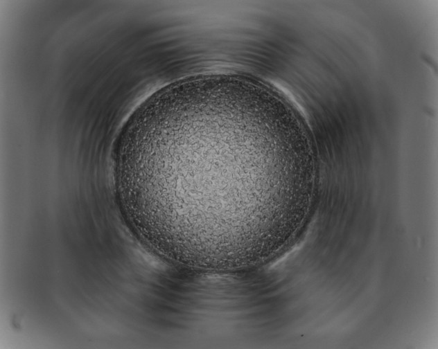 X0000091340835200708241221