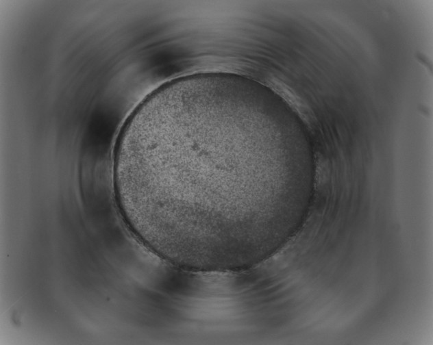 X0000091340836200708241221