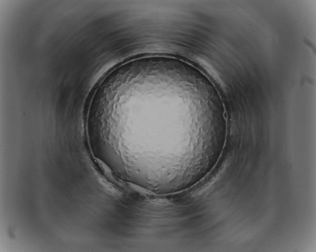 X0000091340837200708241221